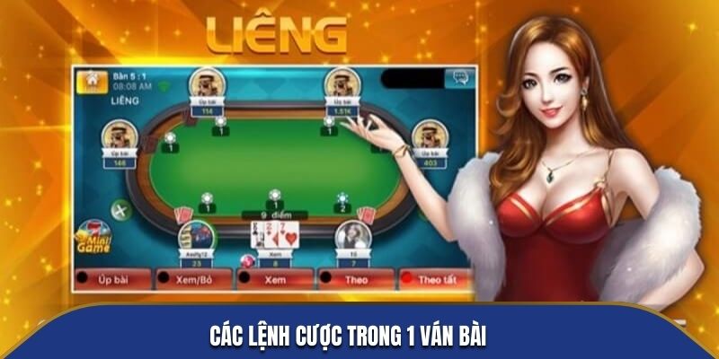 Các lệnh cược trong 1 ván bài